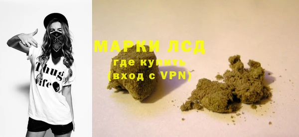 гидропоника Алзамай