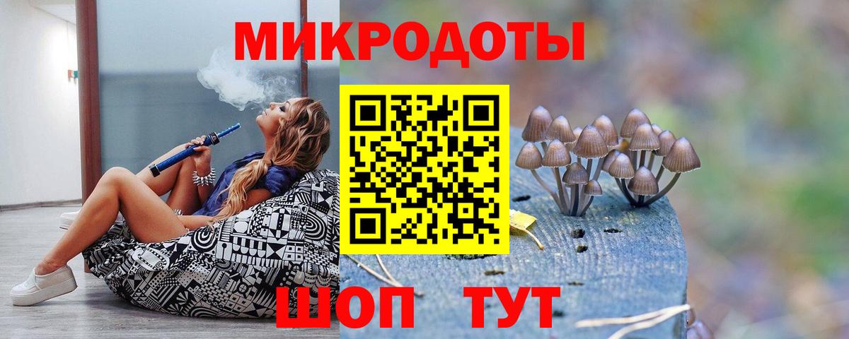 Люберцы  Псилоцибиновые грибы Psilocybine cubensis  Вход с VPN 